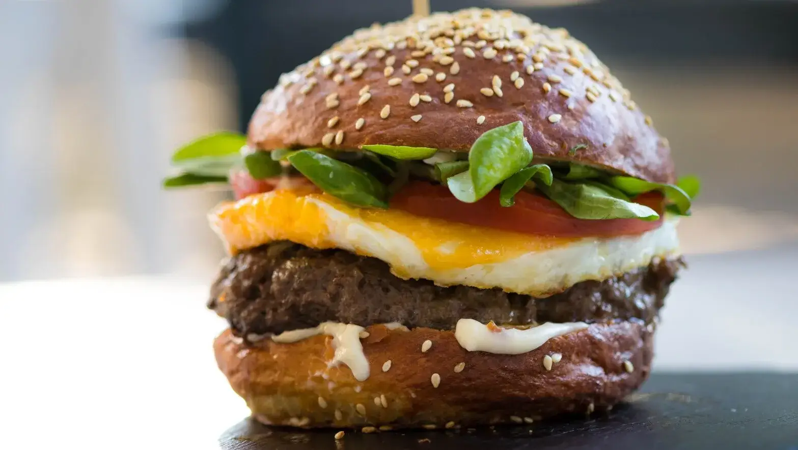 burger burger